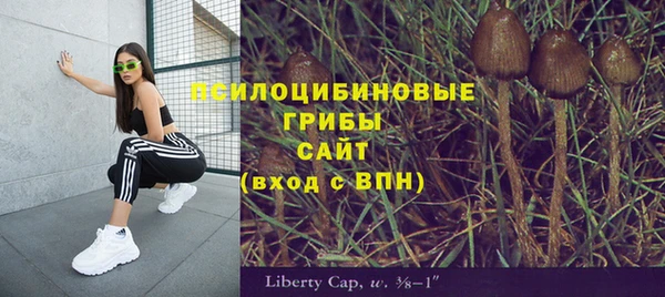 прущий лед Касимов