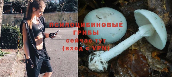 прущий лед Касимов