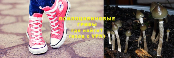 прущий лед Касимов