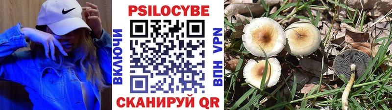 Псилоцибиновые грибы MAGIC MUSHROOMS  Купить  Омутнинск 